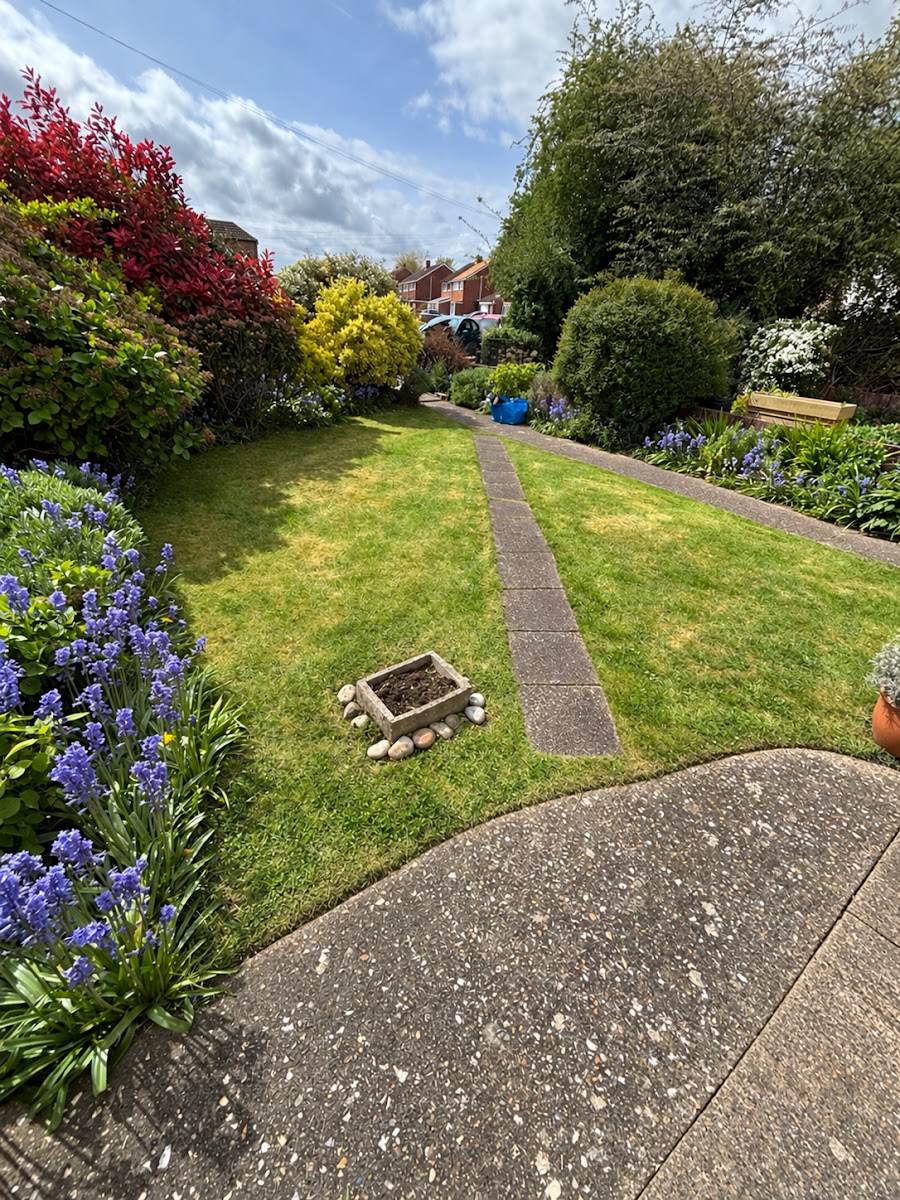 Tidy borders and lawn with clear edges