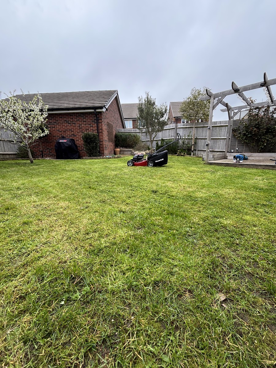 Lawn just cut on a new-build garden