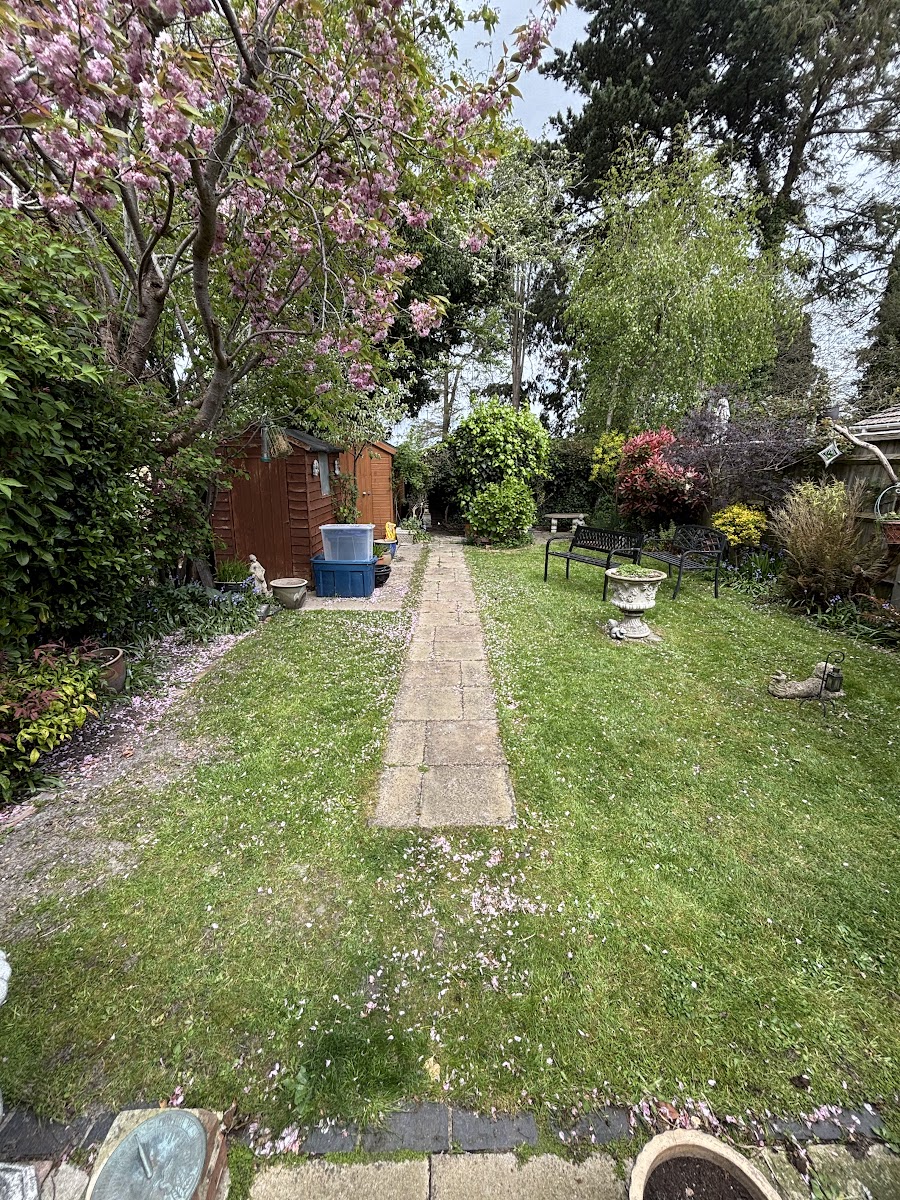 Tidy garden with mown lawn and path