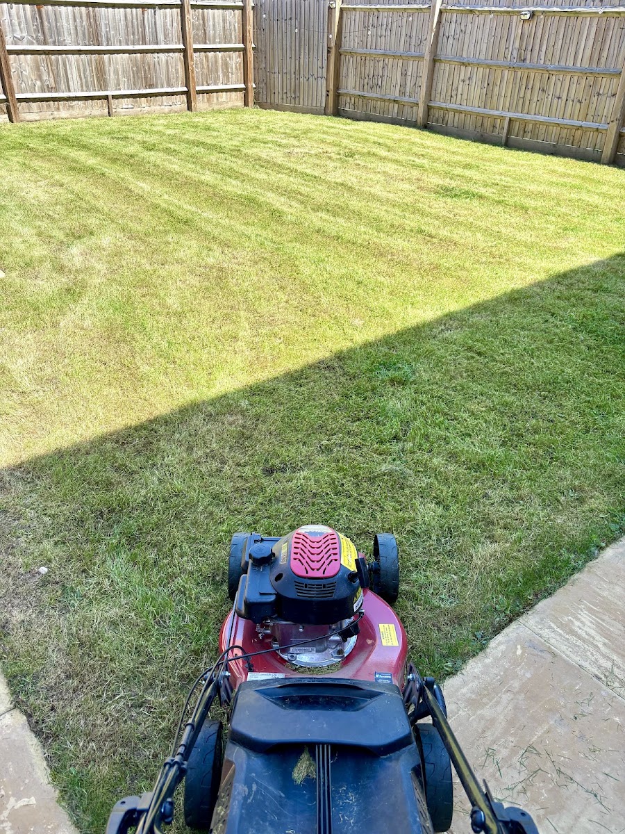 Freshly striped lawn