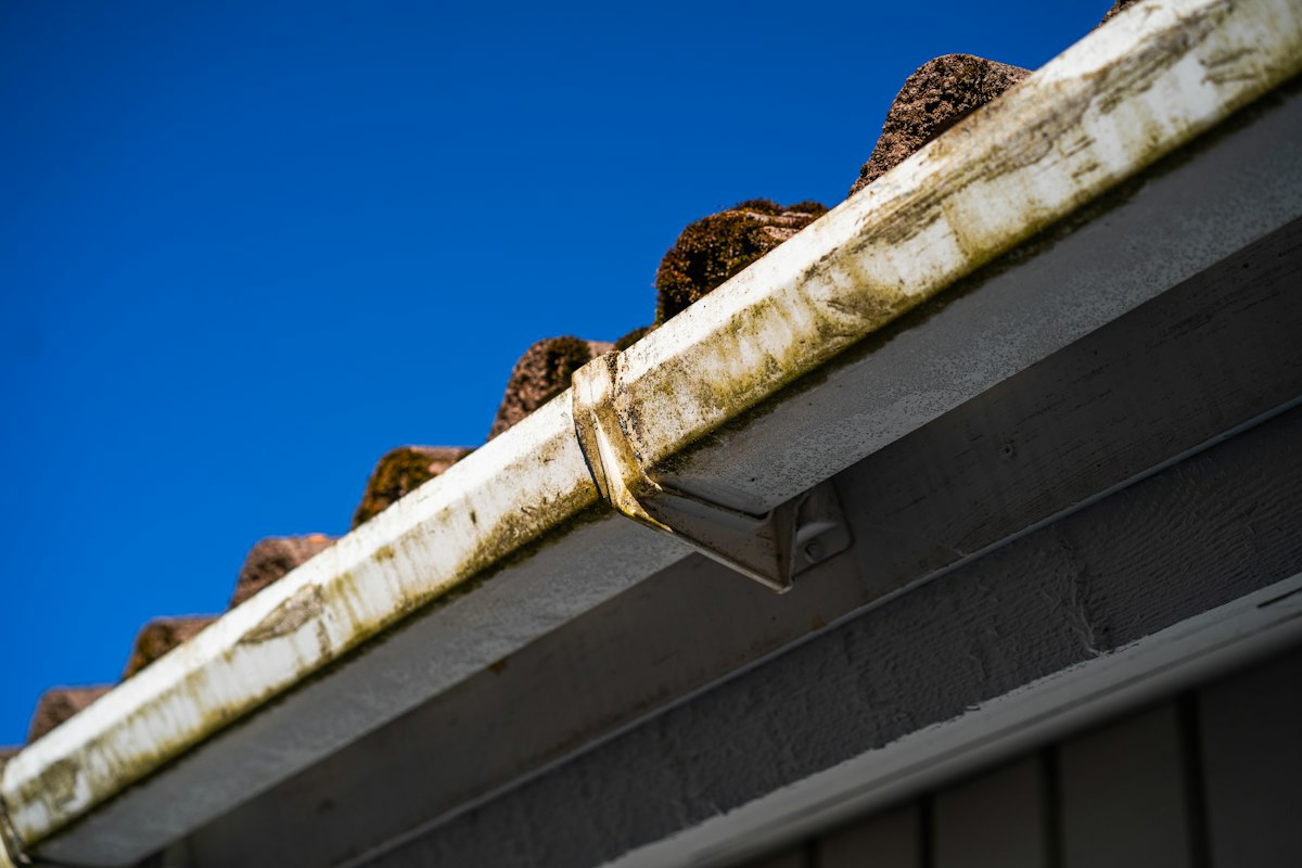 Mossy gutter seen from the ground