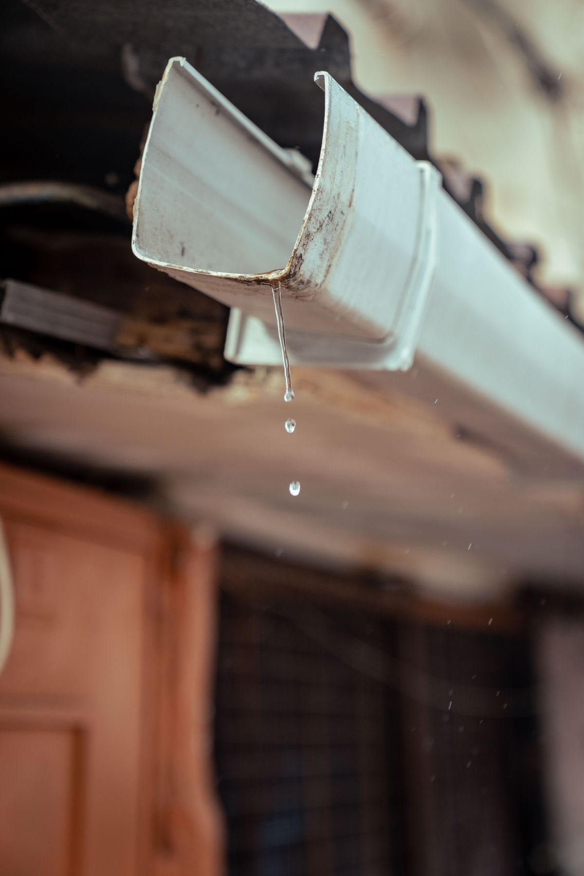 Rainwater running from a gutter